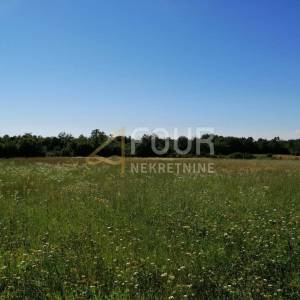 Istra, Sveti Lovreč, poljoprivredno zemljište 2.000m2