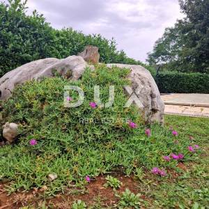 ISTRA, SVETI LOVREČ - Ruralna kuća s bazenom