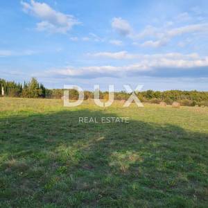 ISTRA, SVETVINČANAT - Prostrano zemljište 26.000m2 na rubu urbanizacije