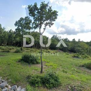 ISTRA, SVETVINČENAT - Građevinsko zemljište na rubu naselja