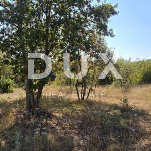 ISTRA, SVETVINČENAT - Građevinsko zemljište na rubu građevinske zone