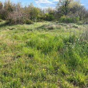 ISTRA, SVETVINČENAT - Građevinsko zemljište s projektom