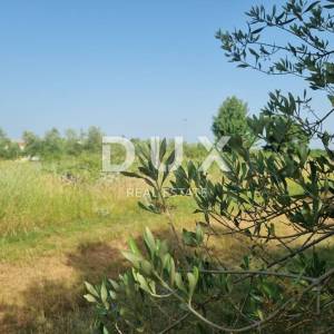 ISTRA, SVETVINČENAT- Građevinsko zemljište s idejnim projektom