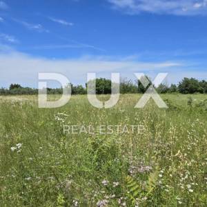 ISTRA, SVETVINČENAT - Kompleks zemljišta od 4522 m2