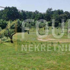 Istra, Svetvinčenat - okolica, kuća + idejni projekt za novu kuću s bazenom