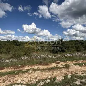Istra, Svetvinčenat - okolica, poljoprivredno zemljište 2.913m2