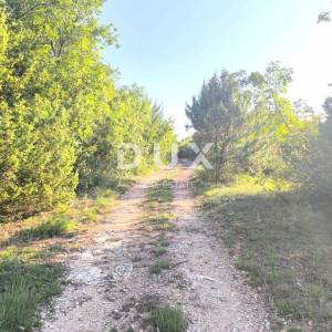 ISTRA, SVETVINČENAT Poljoprivredno zemljište za maslinik