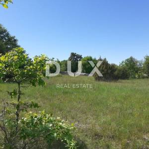 ISTRA, SVETVINČENAT - Poljoprivredno zemljište 4773 m2
