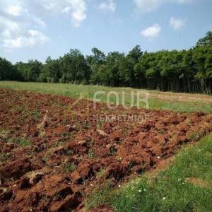 Istra, Svetvinčenat, poljoprivredno zemljište 3.820m2