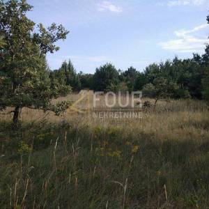 Istra, Svetvinčenat, poljoprivredno zemljište 1.840m2