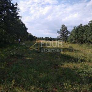 Istra, Svetvinčenat, poljoprivredno zemljište 1.840m2