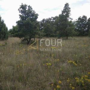 Istra, Svetvinčenat, poljoprivredno zemljište 1.840m2