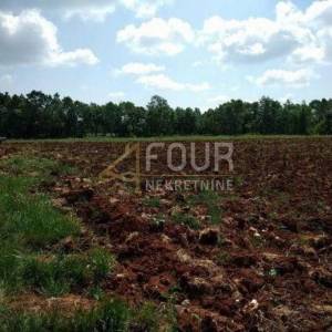 Istra, Svetvinčenat, poljoprivredno zemljište 8.700m2