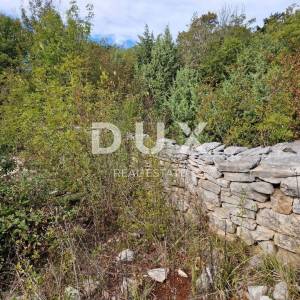 ISTRA, SVETVINČENAT - Ruševna kuća na okućnici od 2,1ha
