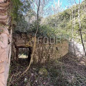 Istra, Svetvinčenat, samostojeća ruševina s gospodarskim objektom