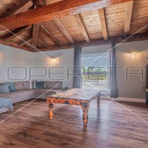 Istra, Svetvinčenat, šarmantna prizemnica sa dodatnim apartmanom i prostranim vr