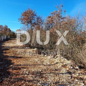 ISTRA, SVETVINČENAT - Stancija 27283m2 s lokacijskom dozvolom i idejnim projektom