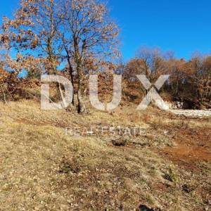 ISTRA, SVETVINČENAT - Stancija 27283m2 s lokacijskom dozvolom i idejnim projektom
