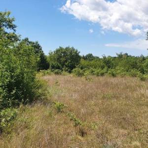 ISTRA, SVETVINČENAT - Zemljište sa započetom gradnjom gospodarskog i stambenog objekta