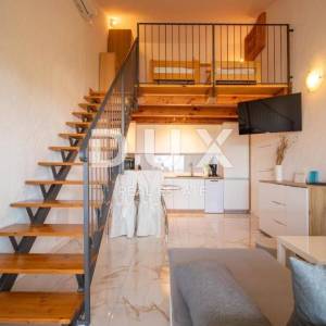 ISTRA, TAR - 2s+db stan na odličnoj lokaciji s pogledom na more