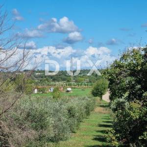 ISTRA, TAR - Dvosobni stan 70,37m2, novogradnja, 1.KAT