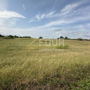 Istra, Tar, građevinsko zemljište, 5.086m2