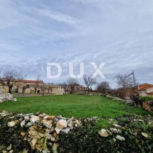 ISTRA, TINJAN - Dvije istarske kamene kuće za adaptaciju