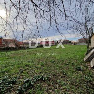 ISTRA, TINJAN - Dvije istarske kamene kuće za adaptaciju