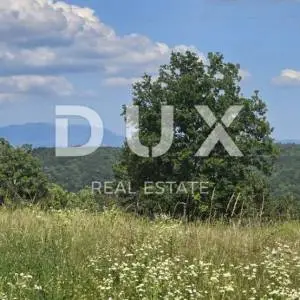 ISTRA, TINJAN - Građevinsko zemljište površine 1187 m2
