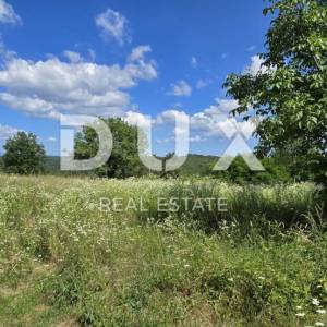 ISTRA, TINJAN - Građevinsko zemljište površine 1187 m2
