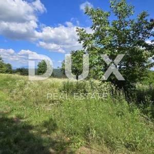 ISTRA, TINJAN - Građevinsko zemljište površine 1187 m2