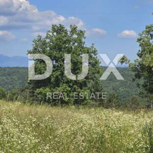 ISTRA, TINJAN - Građevinsko zemljište površine 1187 m2