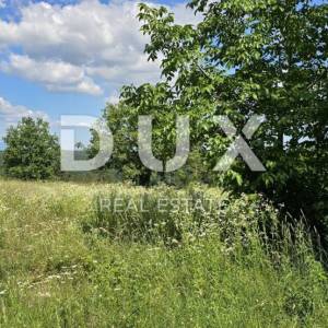 ISTRA, TINJAN - Građevinsko zemljište od 1398 m2