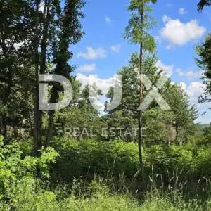 ISTRA, TINJAN - Građevinsko zemljište od 1398 m2