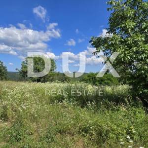 ISTRA, TINJAN - Građevinsko zemljište od 1398 m2