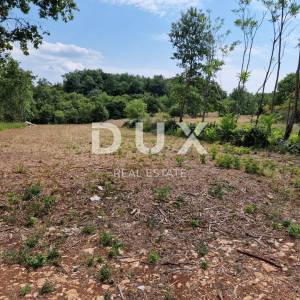 ISTRA, TINJAN - Građevinsko zemljište na mirnoj i tihoj lokaciji