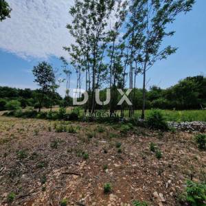 ISTRA, TINJAN - Građevinsko zemljište na mirnoj i tihoj lokaciji