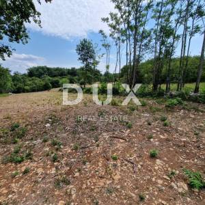 ISTRA, TINJAN - Građevinsko zemljište na mirnoj i tihoj lokaciji