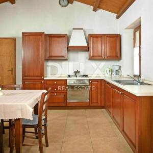 ISTRA, TINJAN - Kamena autohtona vila