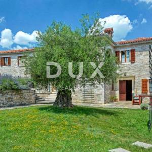 ISTRA, TINJAN - Kamena autohtona vila