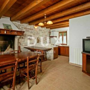 ISTRA, TINJAN - Kamena autohtona vila