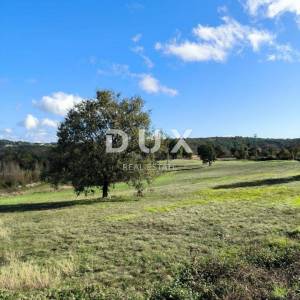 ISTRA, TINJAN - Kombinacija građevinskog i poljoprivednog terena!
