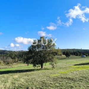 ISTRA, TINJAN - Kombinacija građevinskog i poljoprivednog terena!