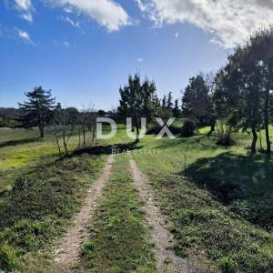 ISTRA, TINJAN - Kombinacija građevinskog i poljoprivednog terena!