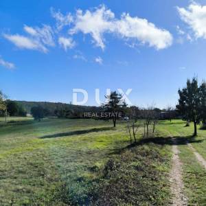 ISTRA, TINJAN - Kombinacija građevinskog i poljoprivednog terena!