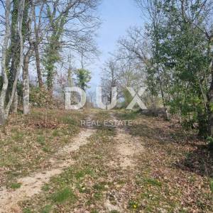 ISTRA, TINJAN - kuća sa prostranom okućnicom!