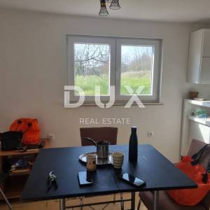 ISTRA, TINJAN - kuća sa prostranom okućnicom!