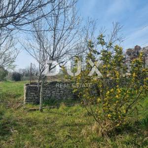 ISTRA, TINJAN - kuća sa prostranom okućnicom!