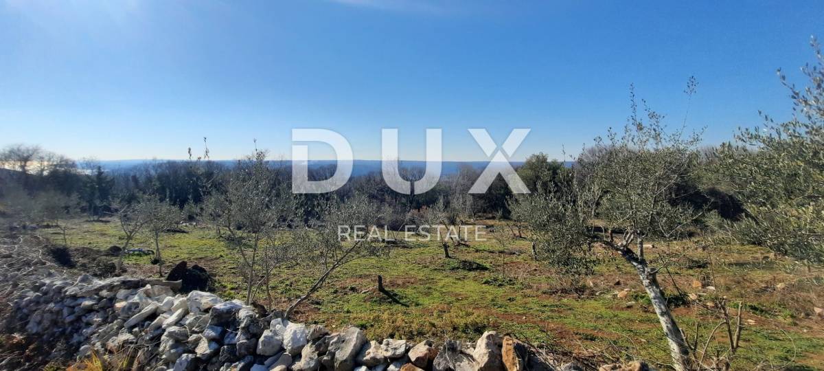 ISTRA, TRGET - Poljoprivredno zemljište 3129 m2 sa predivnim pogledom prema Raškom zaljevu