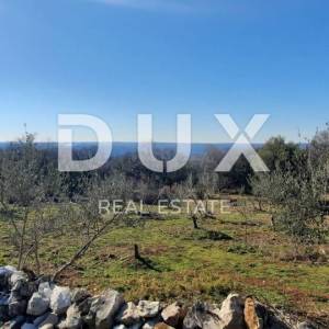 ISTRA, TRGET - Poljoprivredno zemljište 3129 m2 sa predivnim pogledom prema Raškom zaljevu